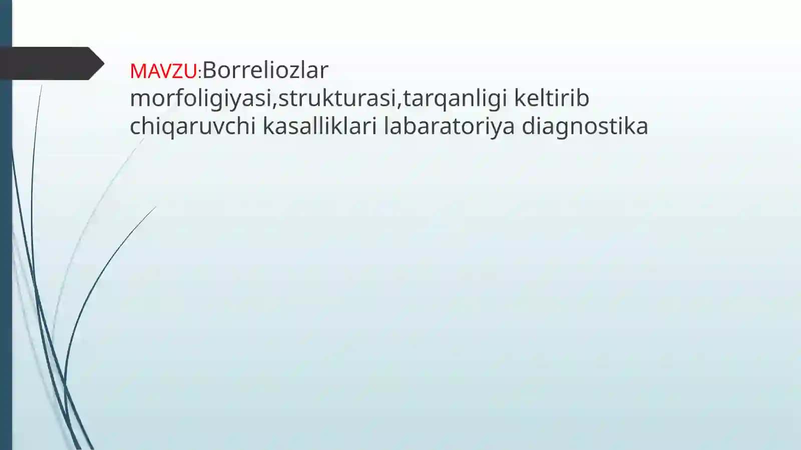 MAVZU:Borreliozlar morfoligiyasi,strukturasi,tarqanligi keltirib chiqaruvchi kasalliklari labaratoriya diagnostika haqida to'liq ma'lumot 2