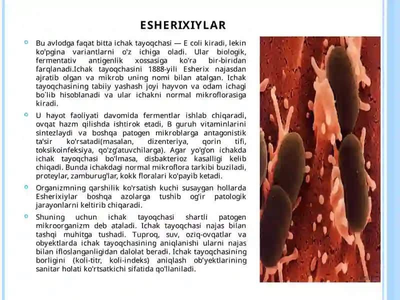 Esherixioz qo`zg`atuvchisi 2
