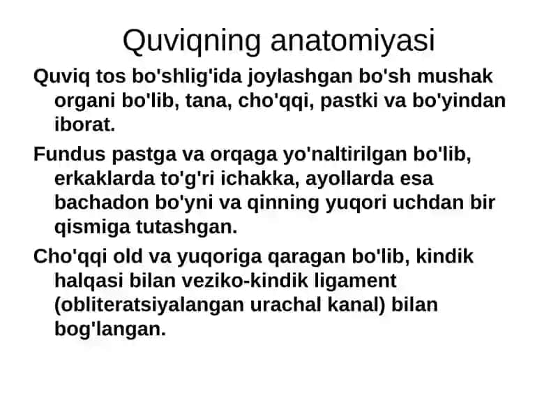 Quviq kasalliklarini ultratovush diagnostikasi 2