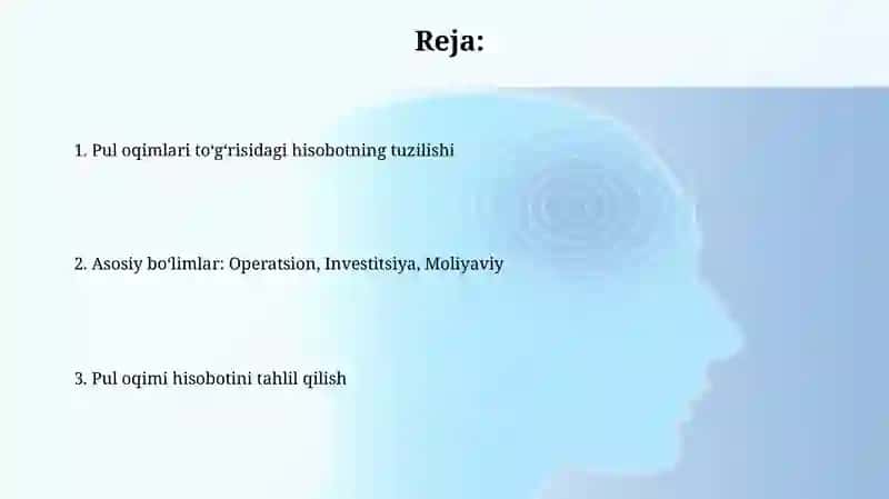 Pul oqimi to'g'risidagi hisob 2