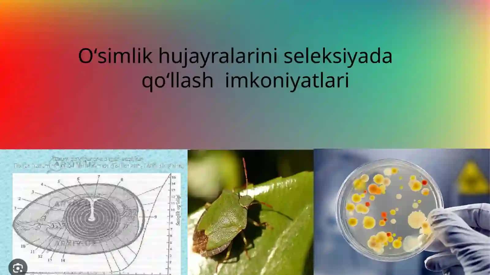O‘simliklar Biotexnologiyasi 2