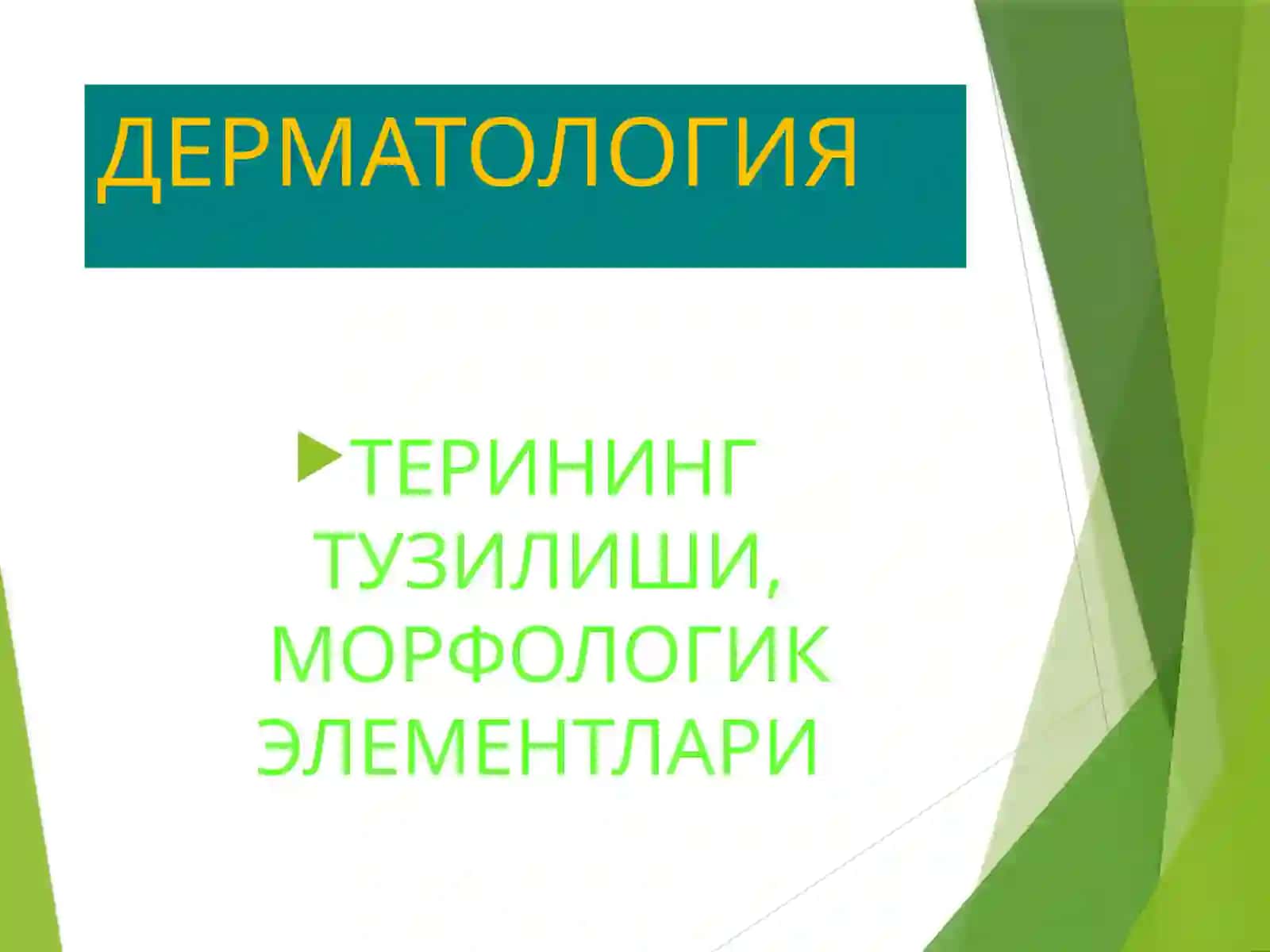 Дерматовенерология кафедраси 2