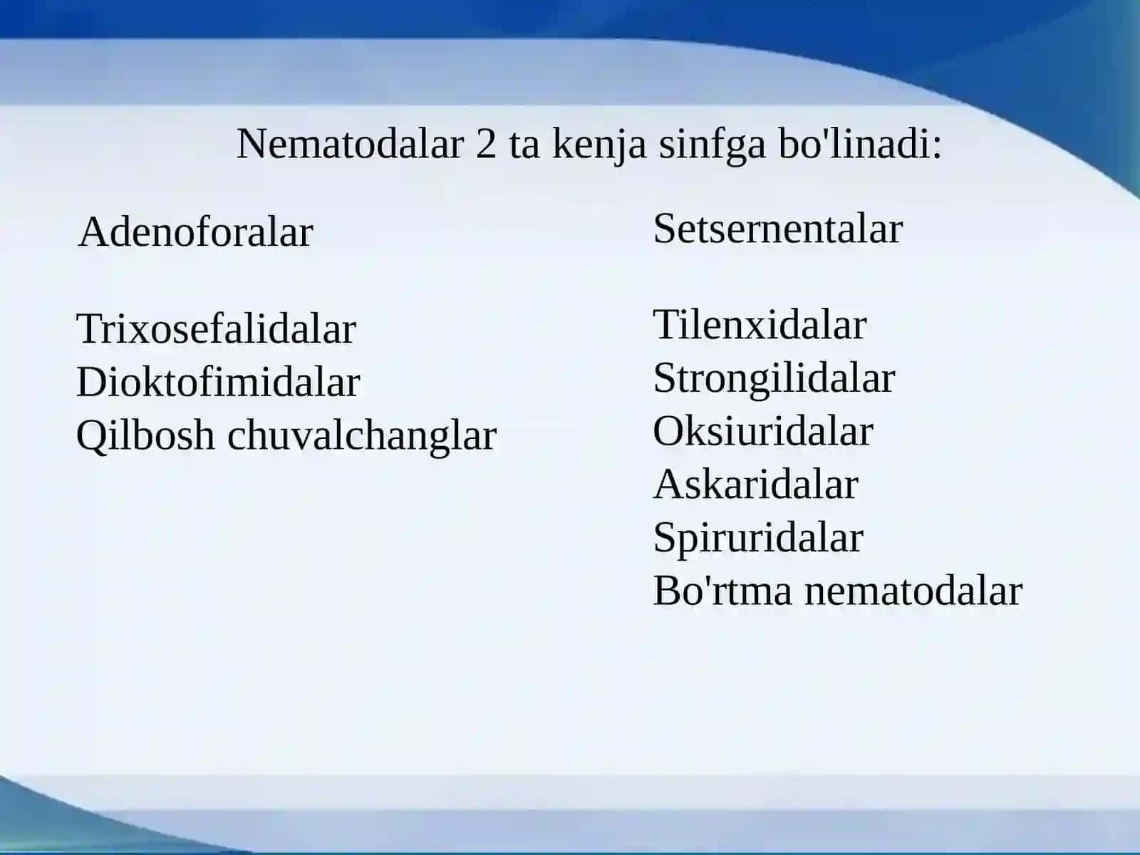 To'garak chuvalchanglar 2