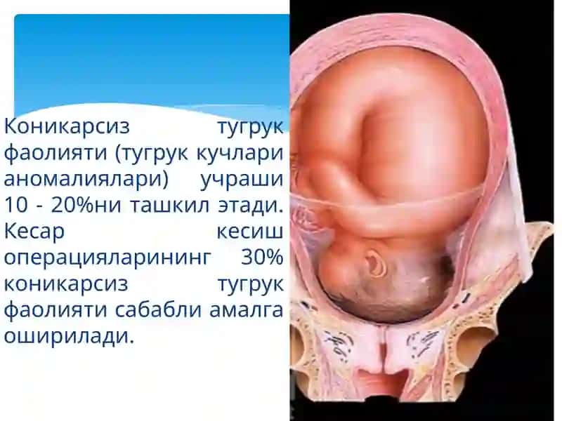 Чакалоклар реанимацияси 2