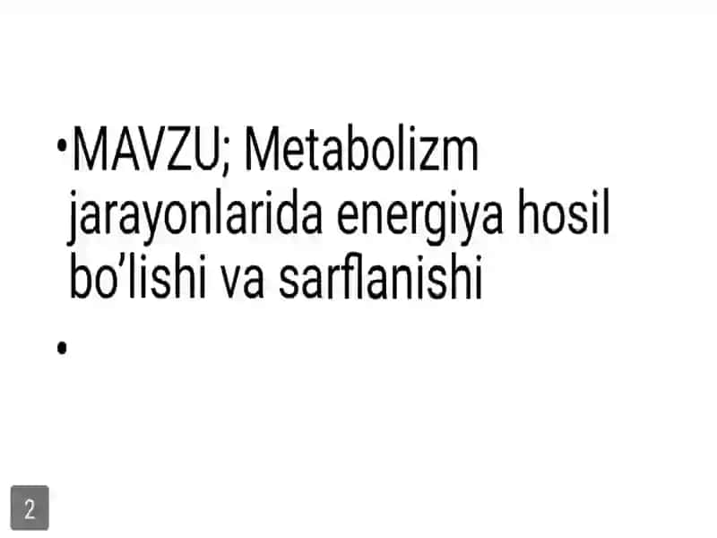 Metabolizm 2