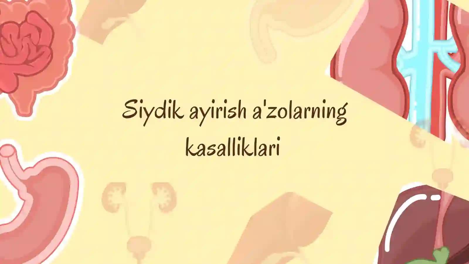 Siydik ayirish a'zolarning kasalliklari 2