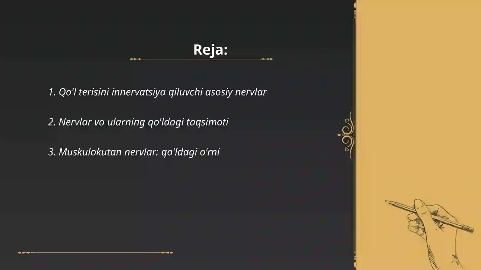 Qo'l va oyoq terisini innervatsiyasi 2