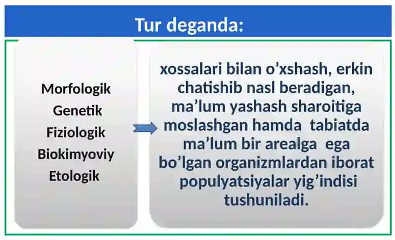 Tur evolyutsion jarayonning asosiy bosqichi 2