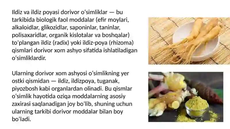 Dorivor va Tabiiy O'simliklar 2