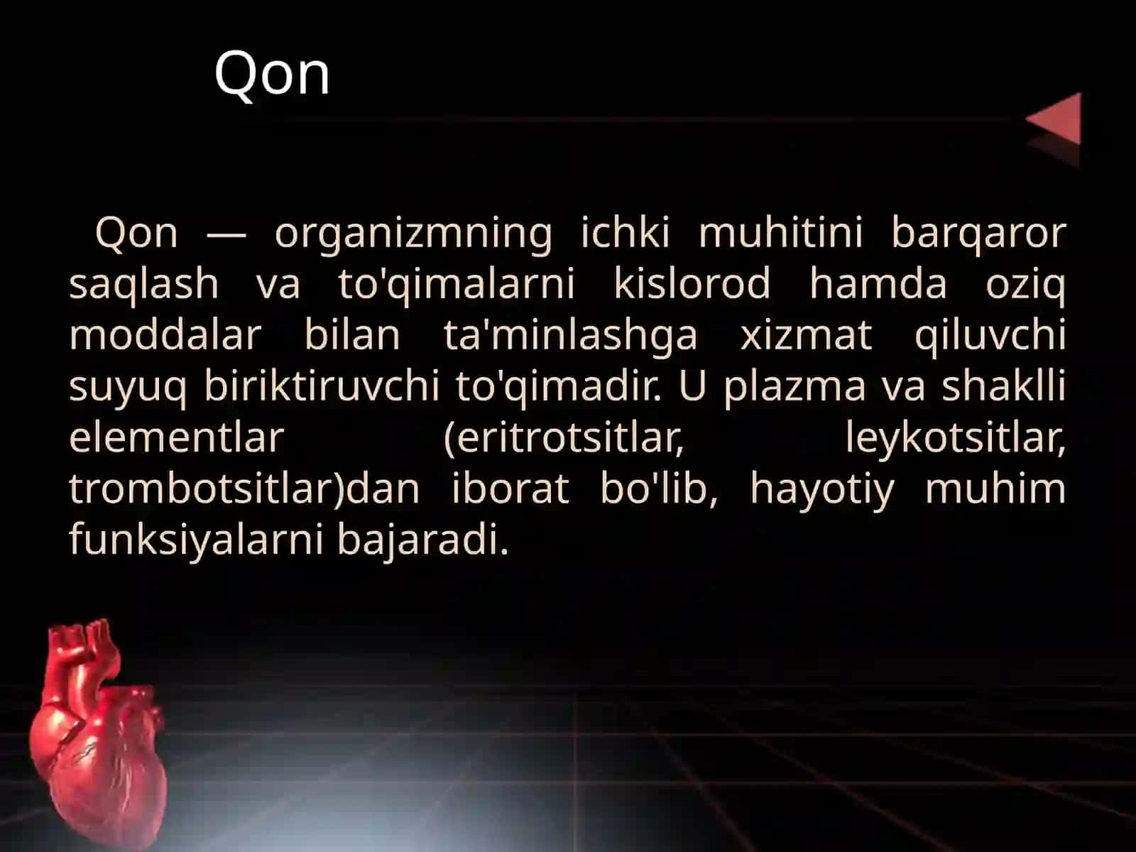 qon plazmasii 2