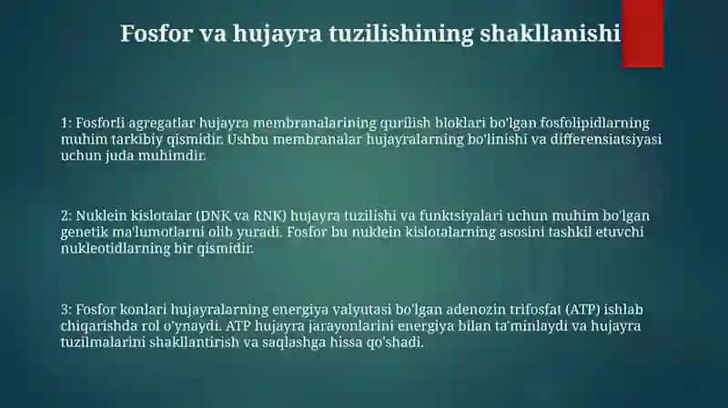 Hujayra Strukturalari Va Fermentlar Tizimi 2