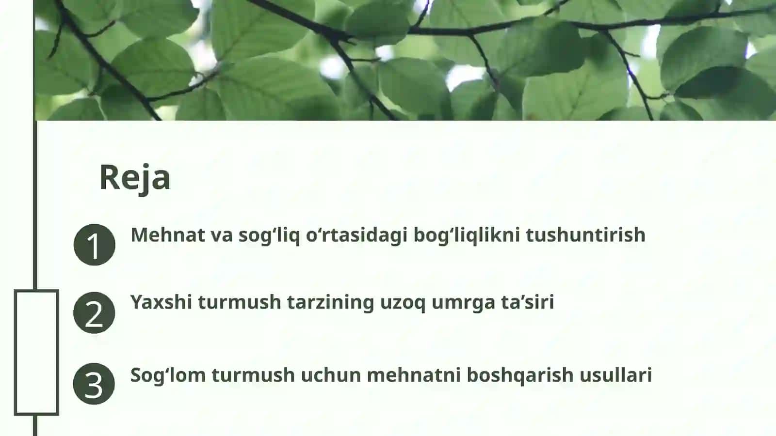 Mehnat uzoqumr ko’rishning asosi 2