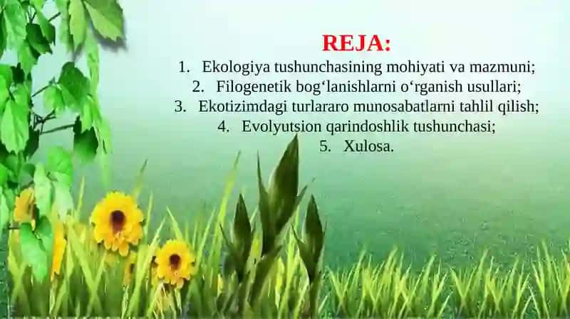 Ekologiya tushunchasi (TAQDIMOT) 2