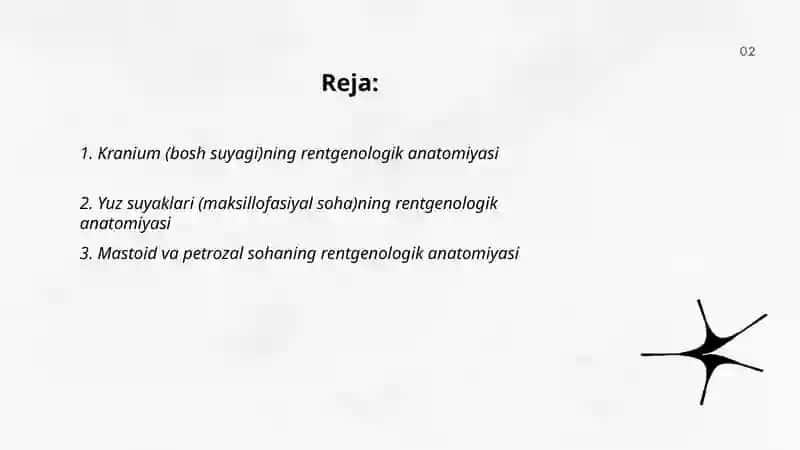 Kranium (bosh suyagi)ning rentgenologik anatomiyasi 2