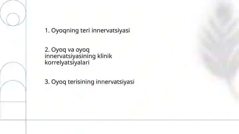 Qól va oyoq terisi innervatsiyasi 2