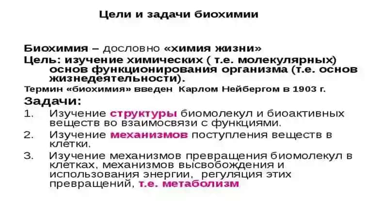 СТРОЕНИЕ И СВОЙСТВА БЕЛКОВ 2