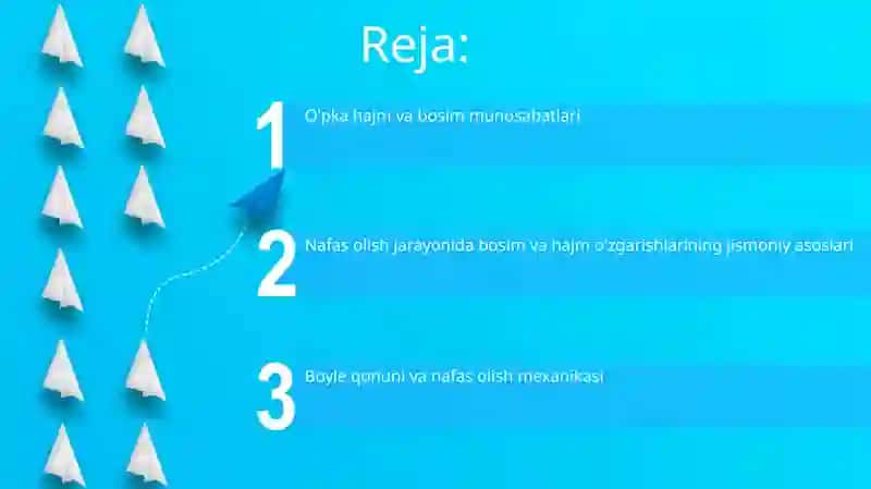 Boyle qonuni va nafas olish mexanikasi 2