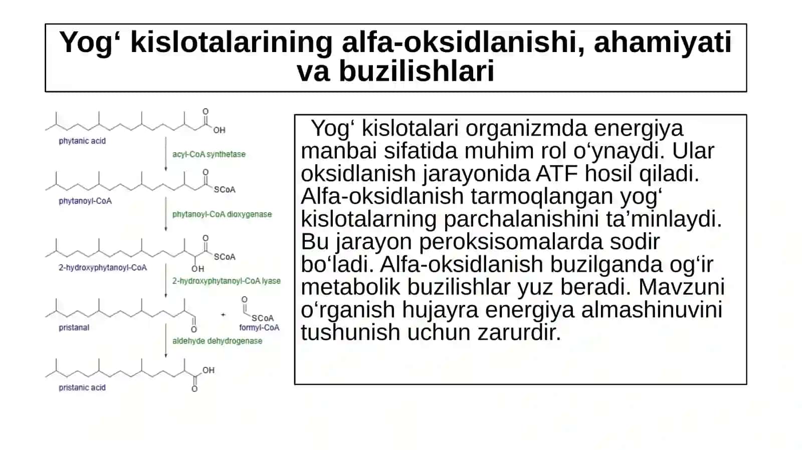 Yog‘kislotalariningalfa-oksidlanishi,ahamiyativabuzilishlari 2