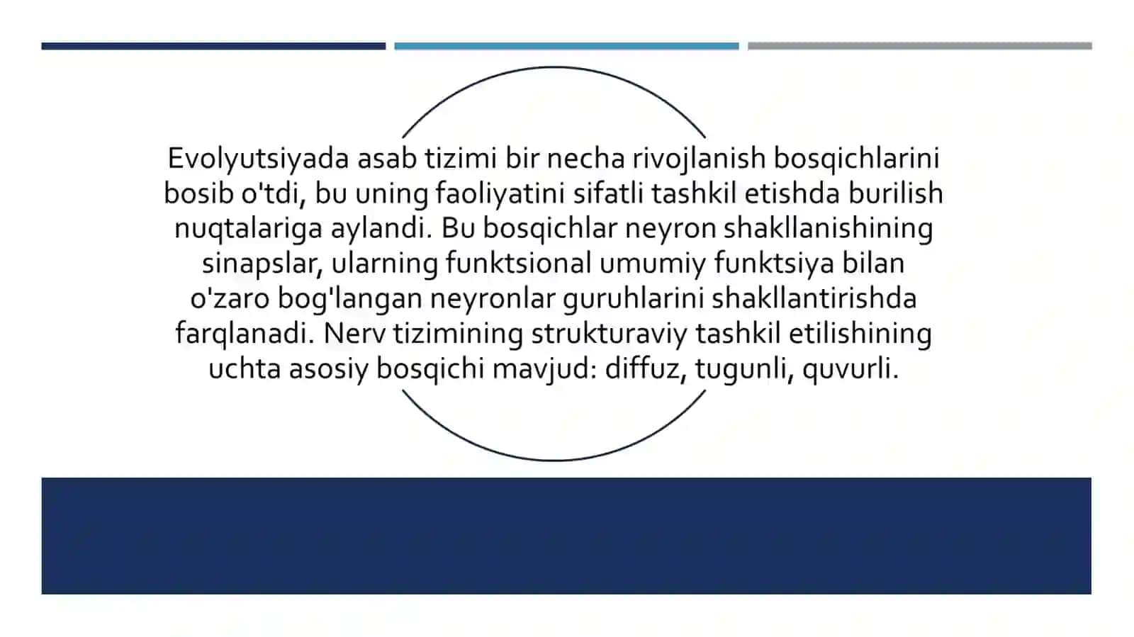 NERV TIZIMINING EVOLUTSIYASI 2