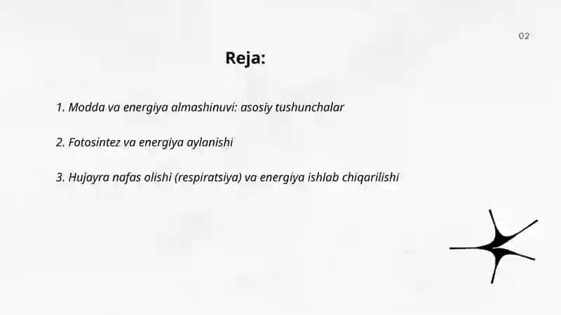 Modda va energiya almashinuvi 2