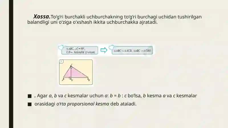 To‘g‘ri burchakli uchburchakdagi proporsional kesmalar 2