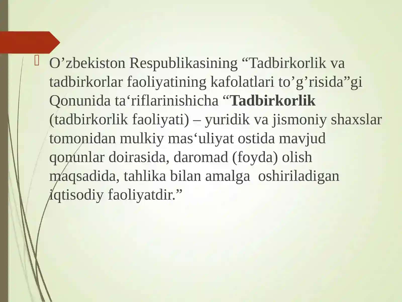 Tadbirkorlik faoliyati 2