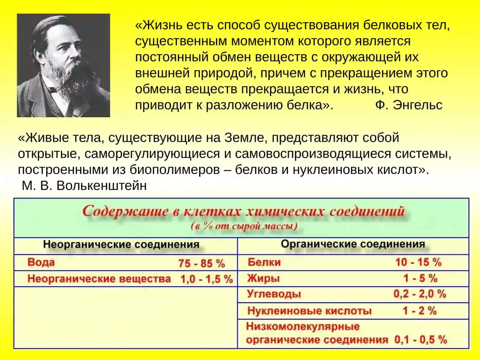 Строение белков 2