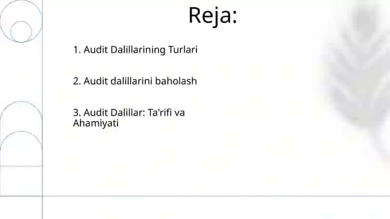 Audit Dalillar 2