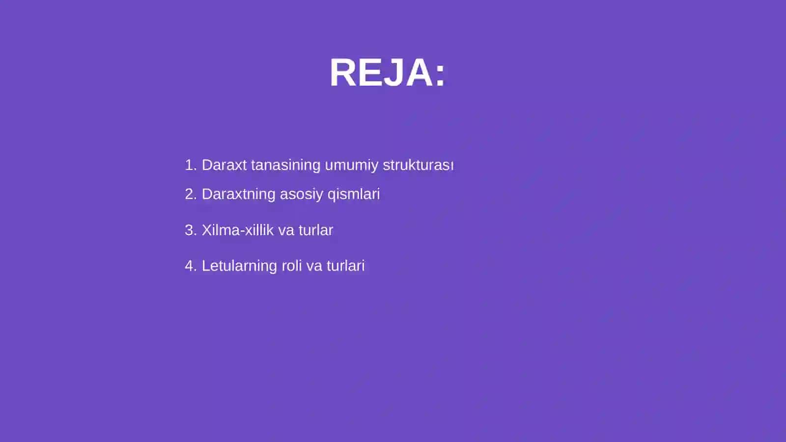 Daraxt tanasining anatomik tuzilishini órganish 2