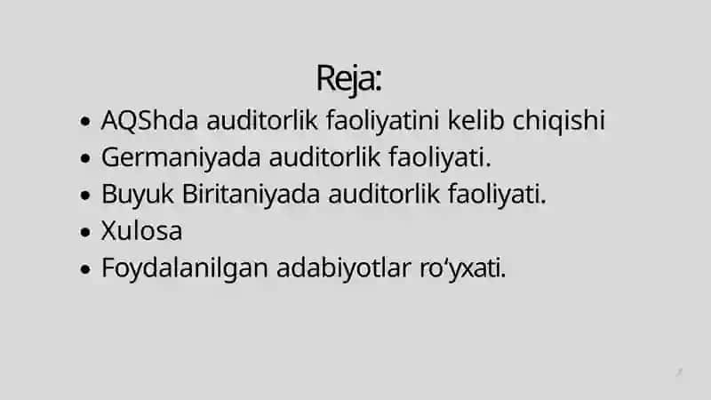 AQSh va Yevropa davlatlarida auditorlik 2