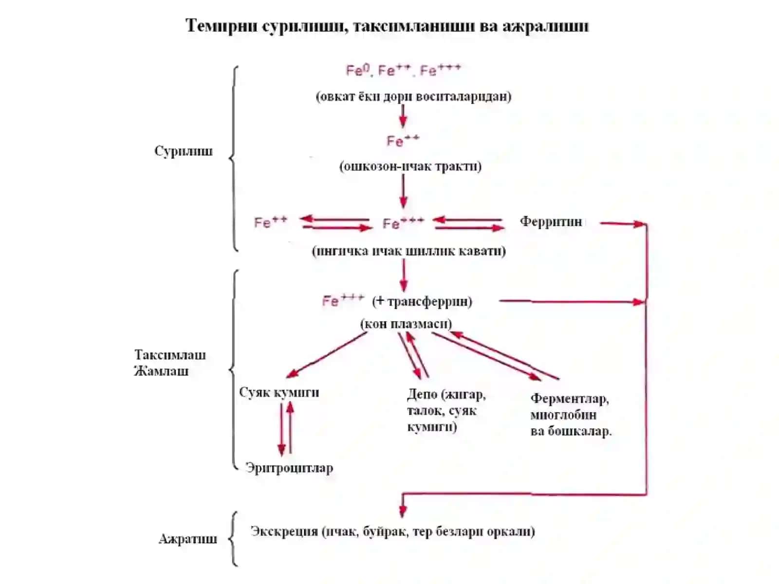 Темир сульфат –Ferrisulfas(табл.,капс) 2