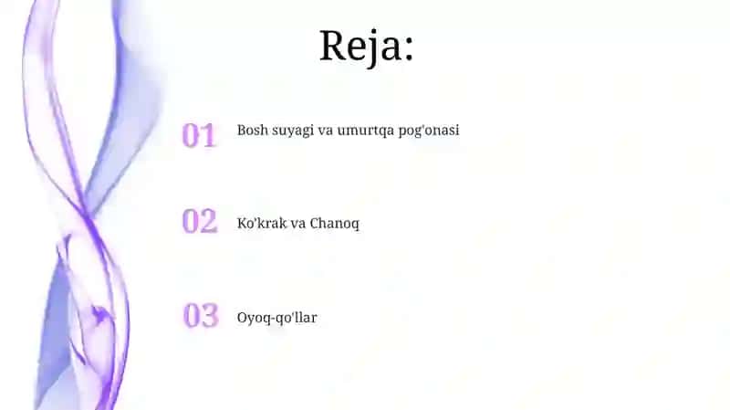 Qovurg'alar rentgen anatomiyasi 2