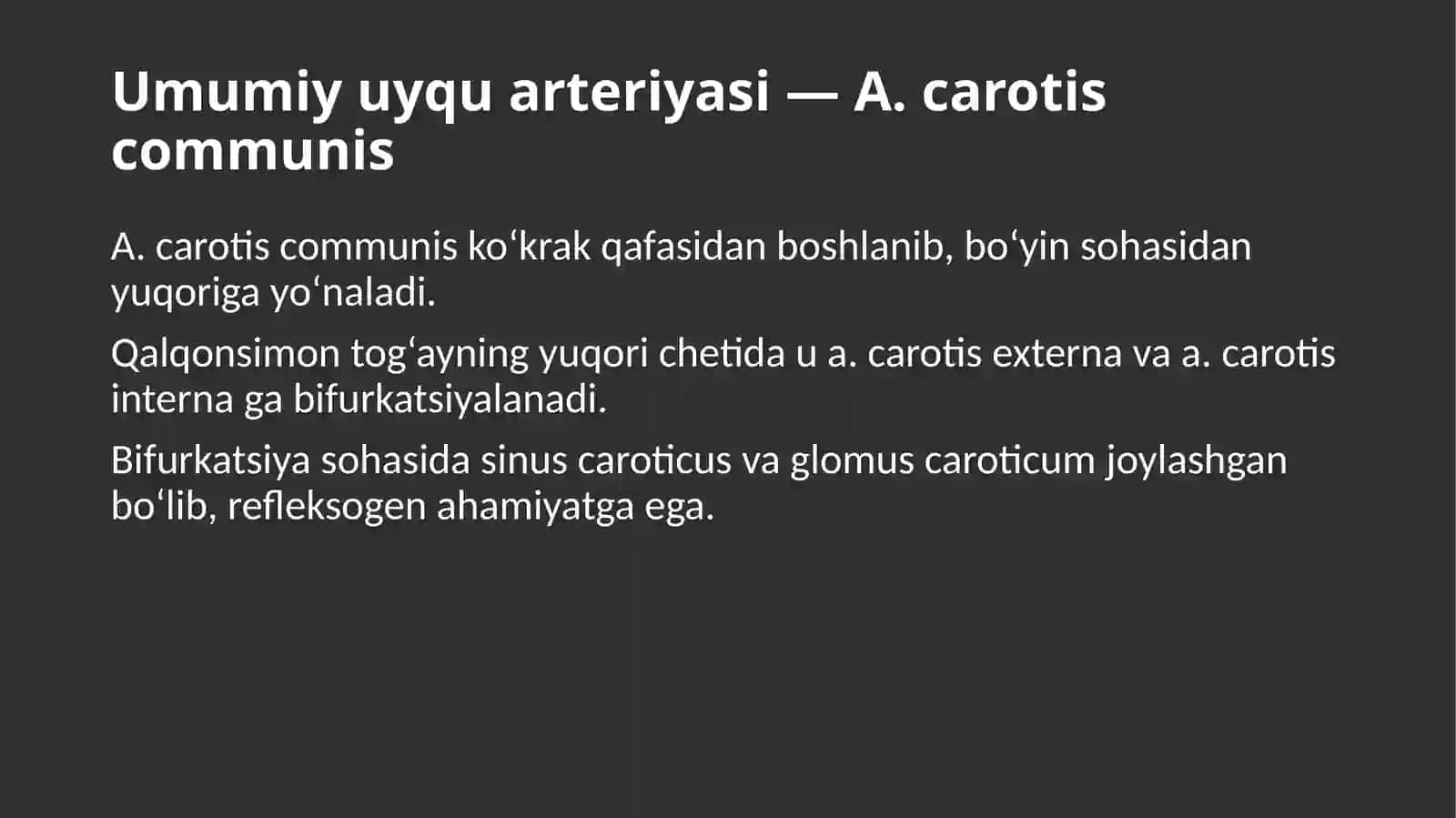 Umumiy uyqu arteriyasi — A.carotis communis 2