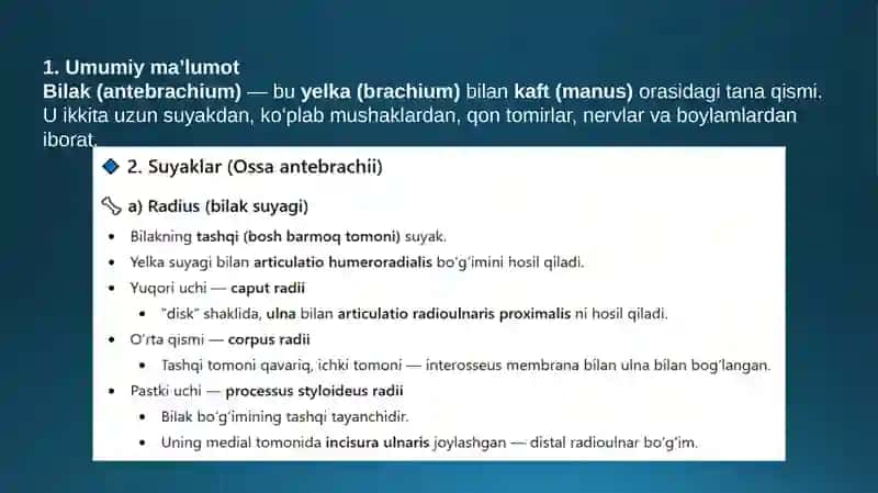 bilak anatomiyasi tranvatologiya fanidan 2