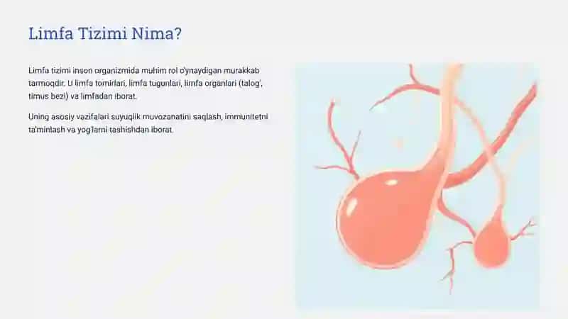 Limfa-Tizimining-Fiziologiyasi 2