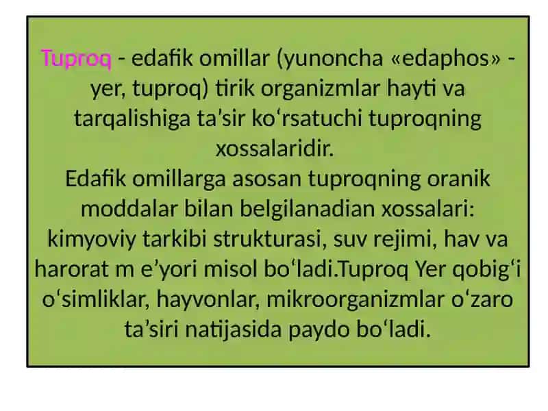 Tuproq va topografik omillar 2