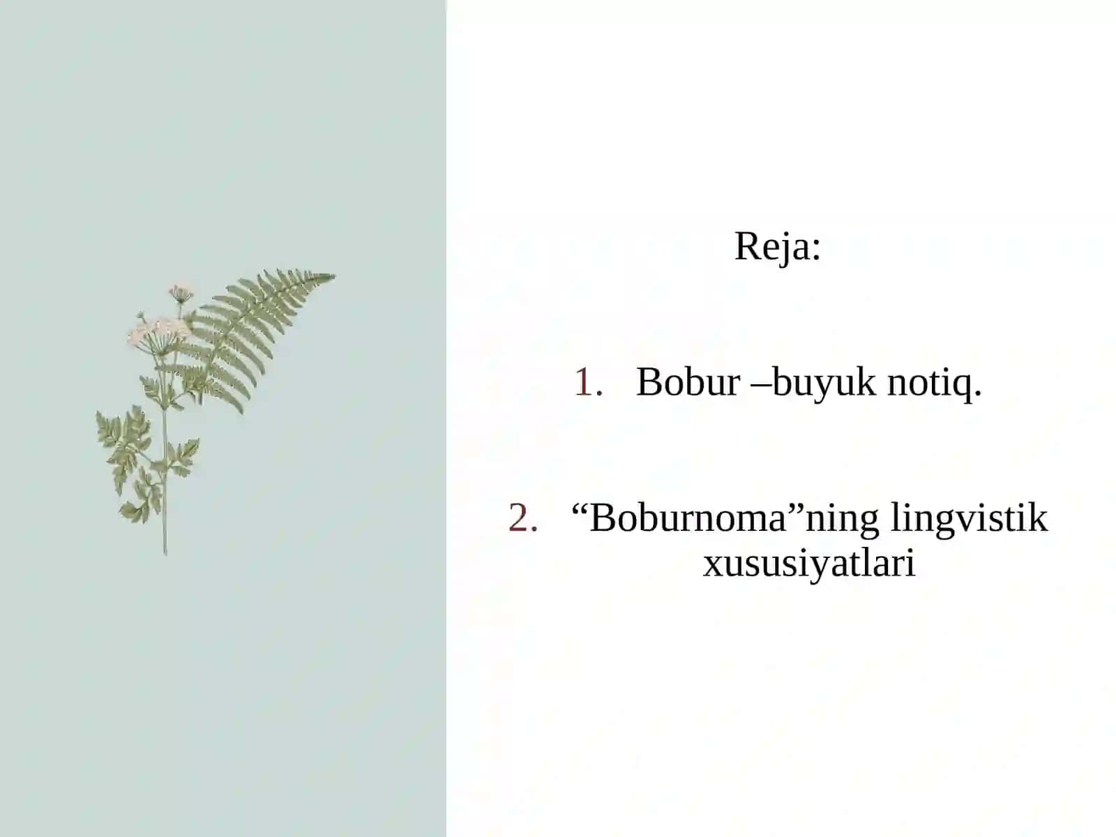 Z. M. Boburning lingvistik qarashlari 2