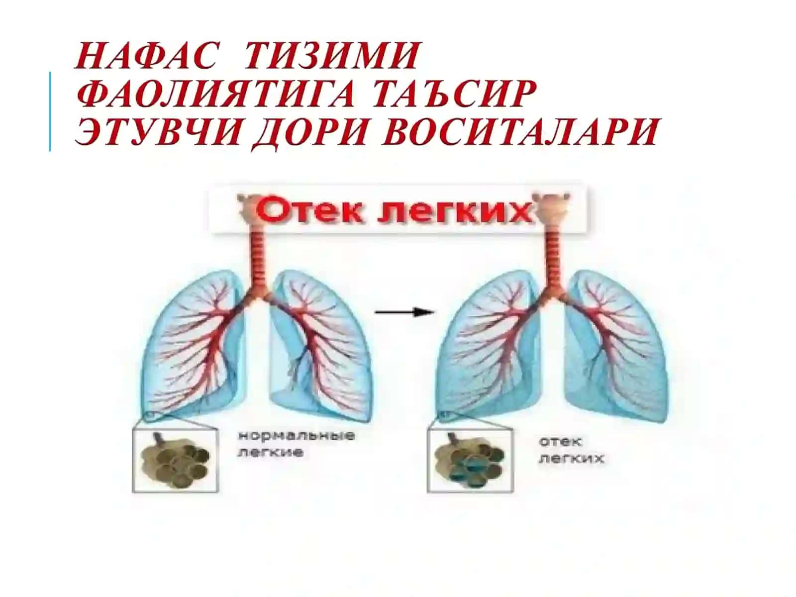 Нафас олиш жараёни 2
