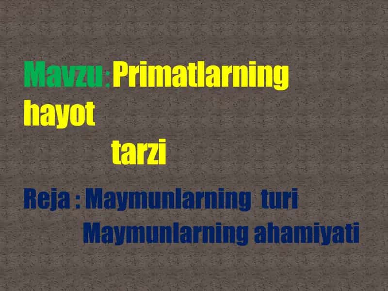 Primatlar hayot tarzi taqdimoti 2