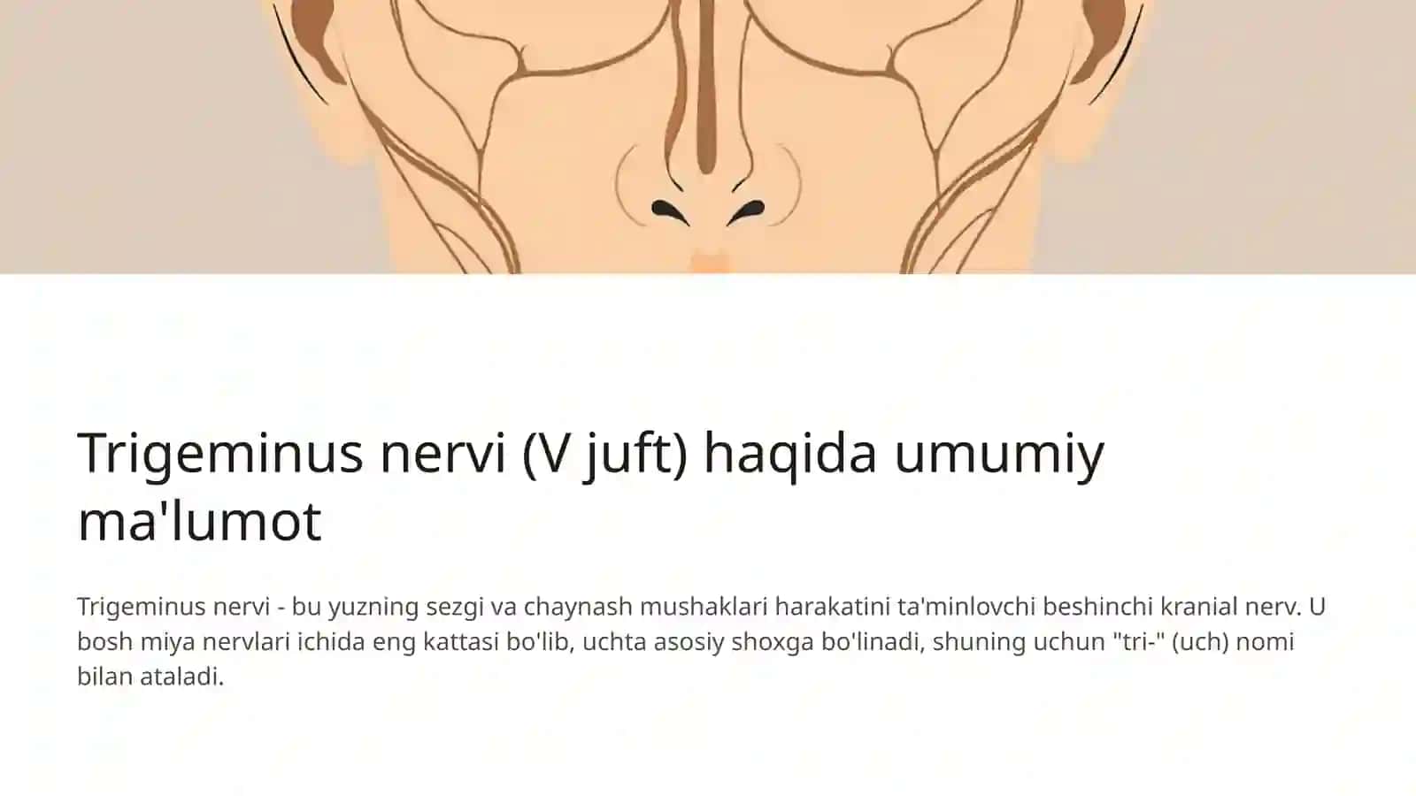 V juft bosh miya nervi: Funksiyalari va klinik ahamiyati 2