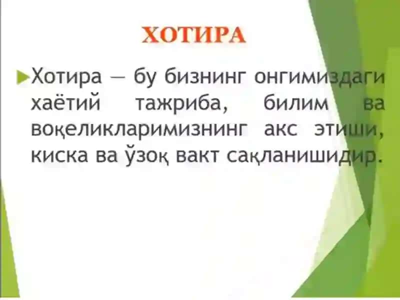 Xotira va Diqqat Buzilishlari 2