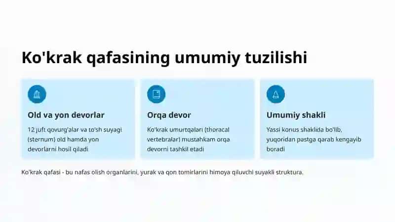 Ko'krak qafasi anatomik diametrlari 2