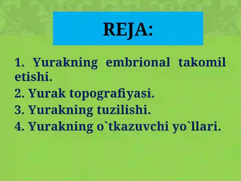 Maxsus pedagogika (logopediya) yo’nalishi 101 2