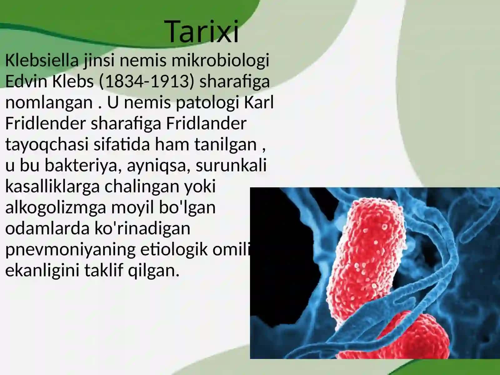 Klebsiella bakteriyalari(mikrobiologiya) 2