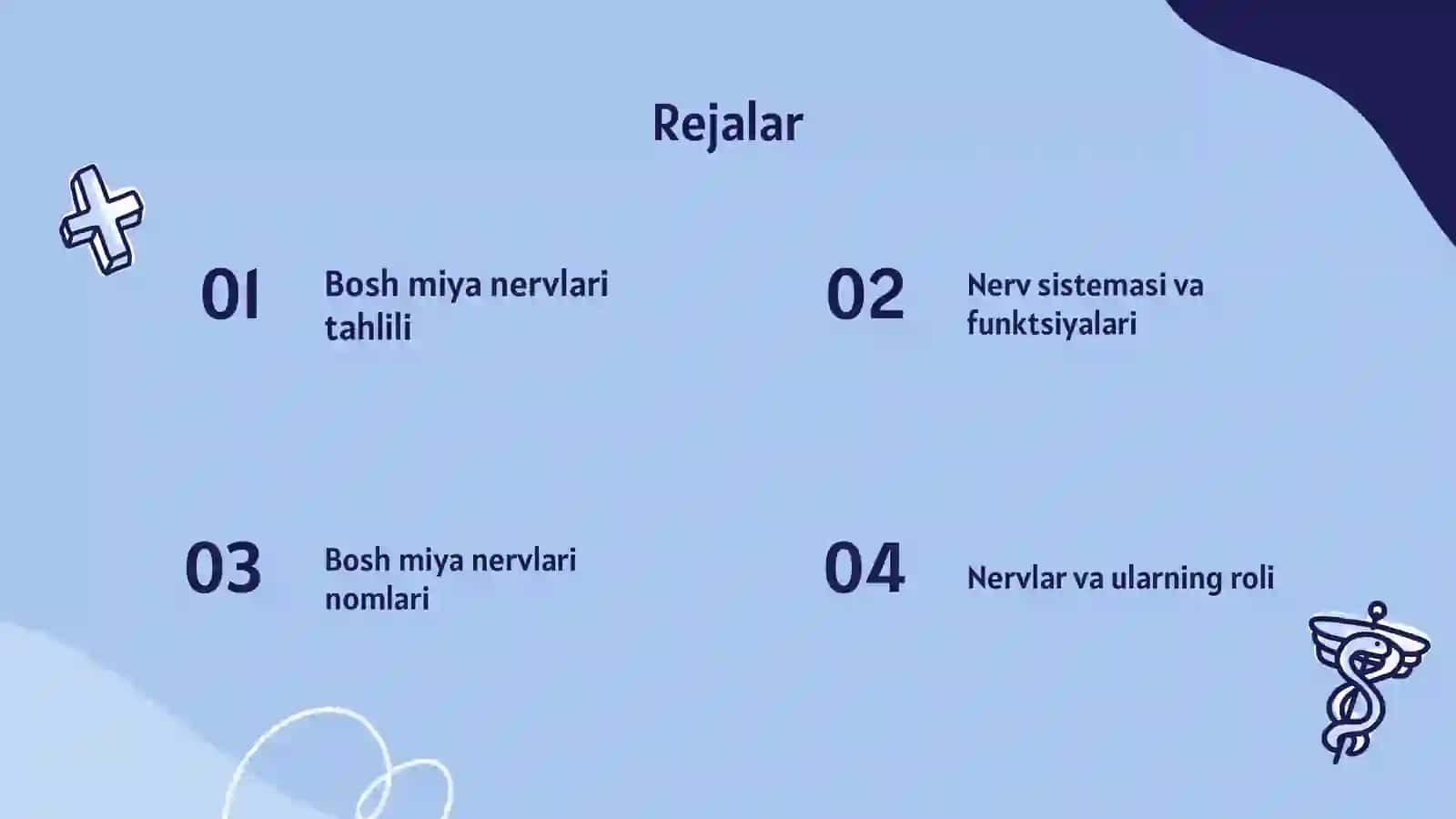 Bosh miya nervlari va ularning nomlari 2
