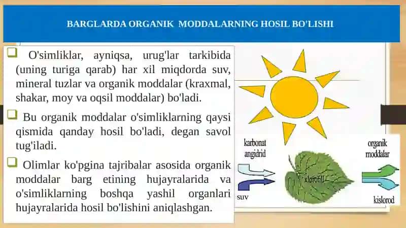 BARGLARDA ORGANIK MODDALARNING HOSIL BO'LISHI 2