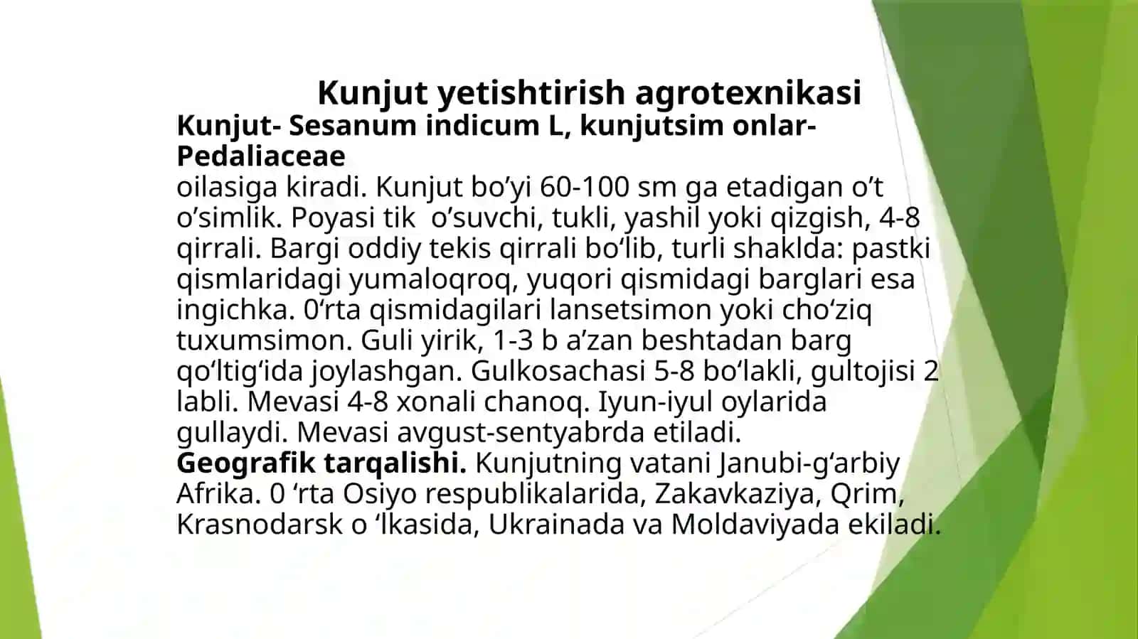Kunjut yetishtirish agrotexnikasi 2