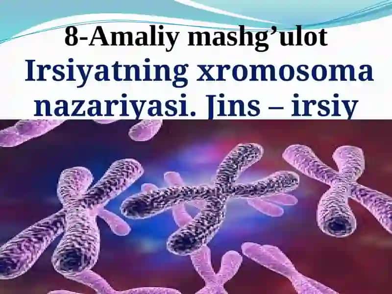 Umumiy genetika 8 - Amaliy mashg’ulot 2