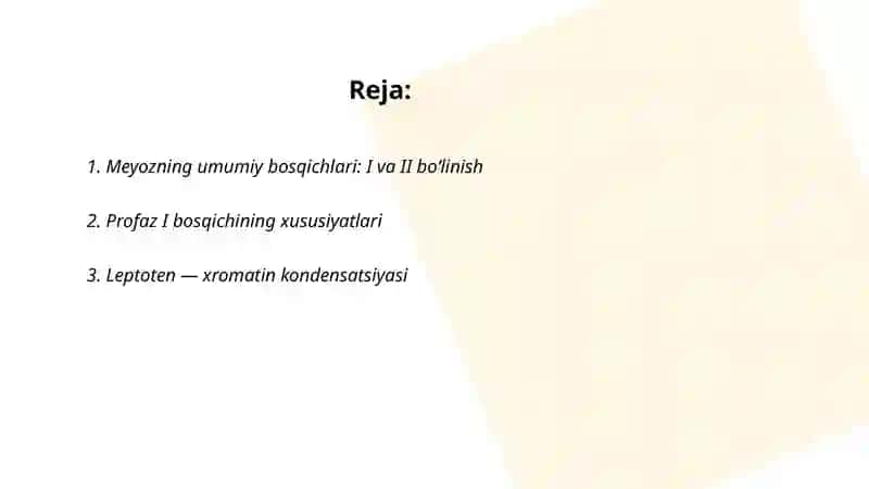 Meyoz bosqichlari 2