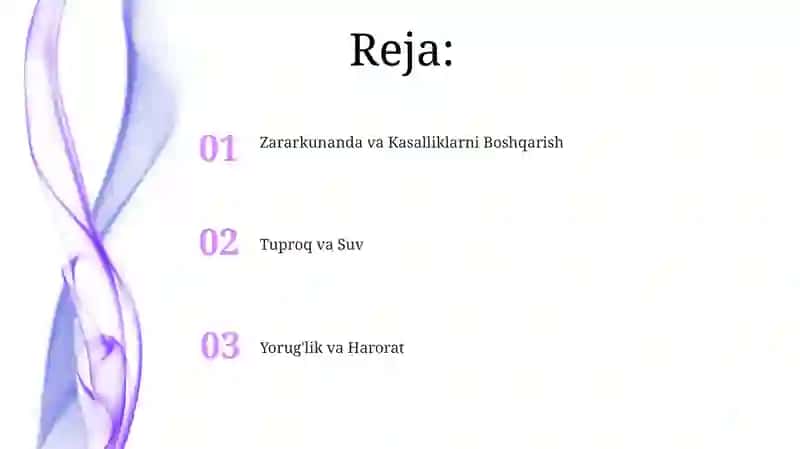 Tabiat burchagida o'simliklarni parvarish qilish 2